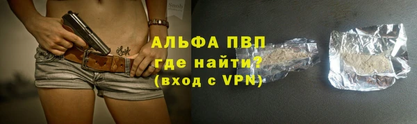 PSILOCYBIN Верхний Тагил