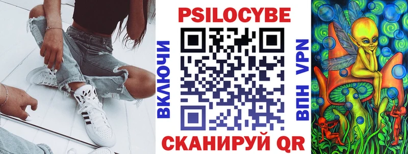 Галлюциногенные грибы Psilocybine cubensis  Купить  Дятьково 